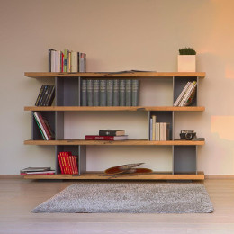 Bookcases + Shelves