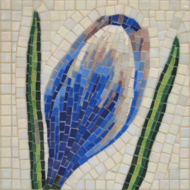 Crocus Mosaic 4