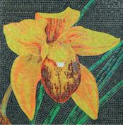 Orchid Mosaic 4