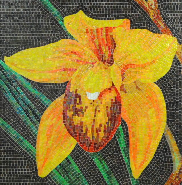 Orchid Mosaic 5