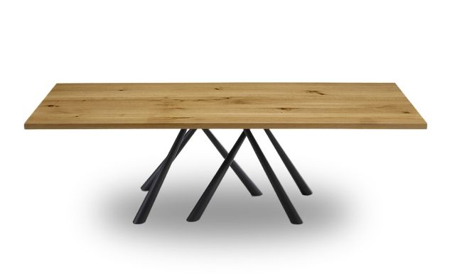 Forest Fixed Table